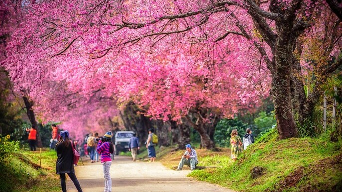 Bangkok - Ayutthaya - Chiang Mai - Lamphun - Lopburi