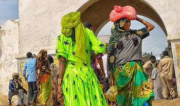 Ethiopia Discovery: Harar, Danakil Depression & Ancient Highlands