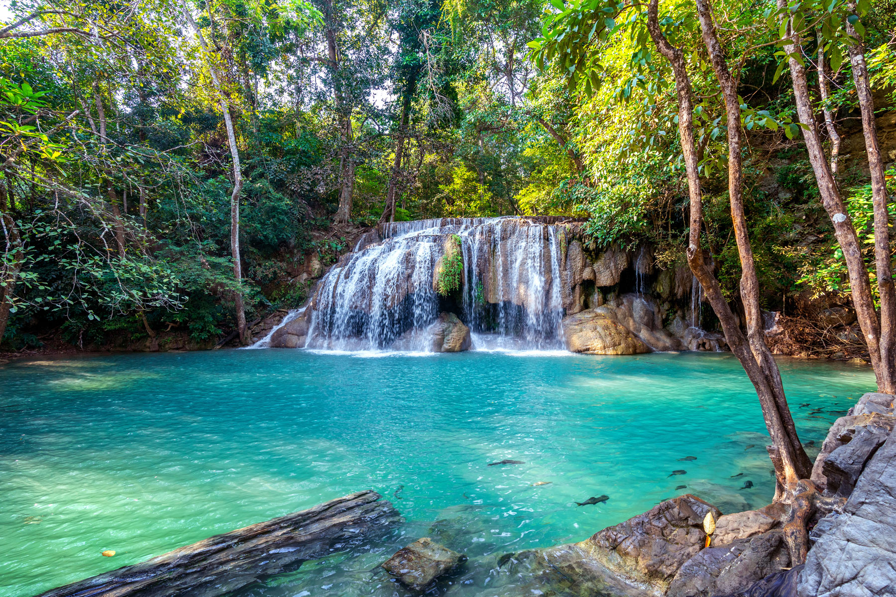Great Thailand Adventure