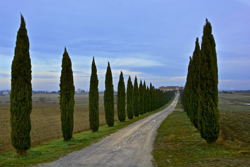 ⭐⭐⭐ Fly-Drive Rome  to  Venice