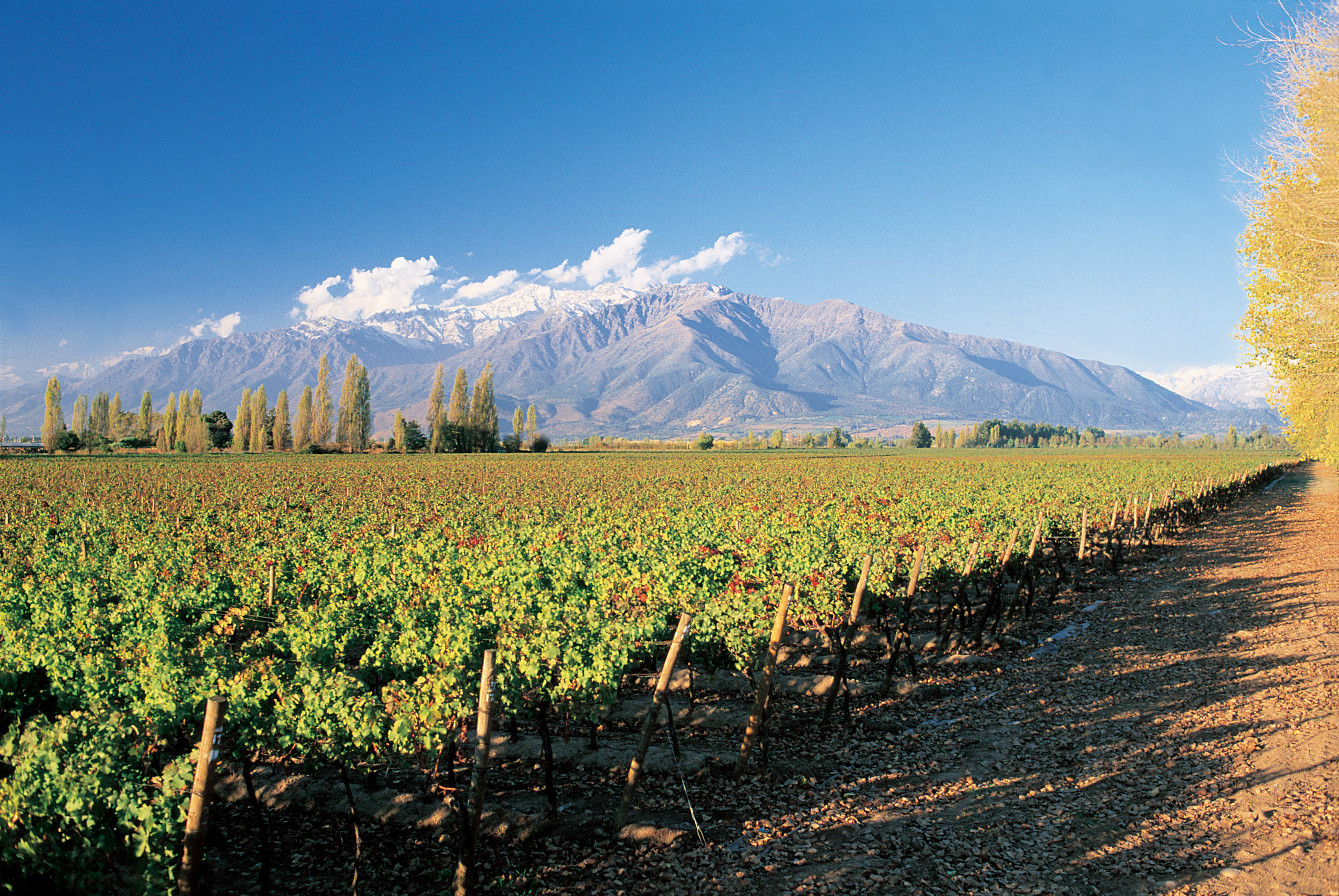 Chile Discovery Journey