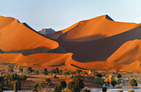 Namibia Self-Drive Safari – Desert, Coast & Wildlife Adventure