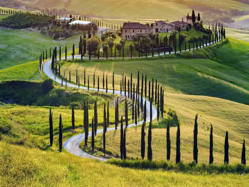 Tuscany: Vineyards, Hilltop Towns & Timeless Italy