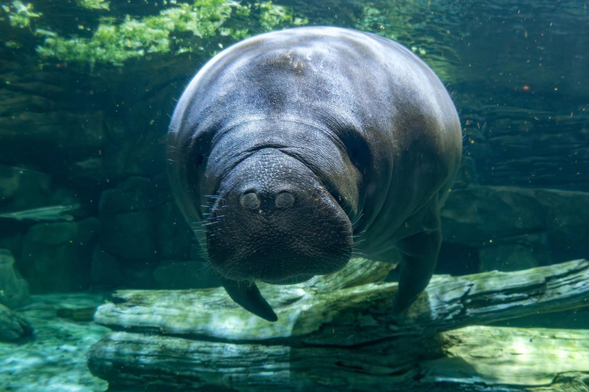 Sun & Adventure: Your Perfect Tampa Escape